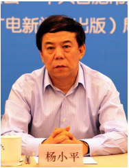 杨小平-企业培训师